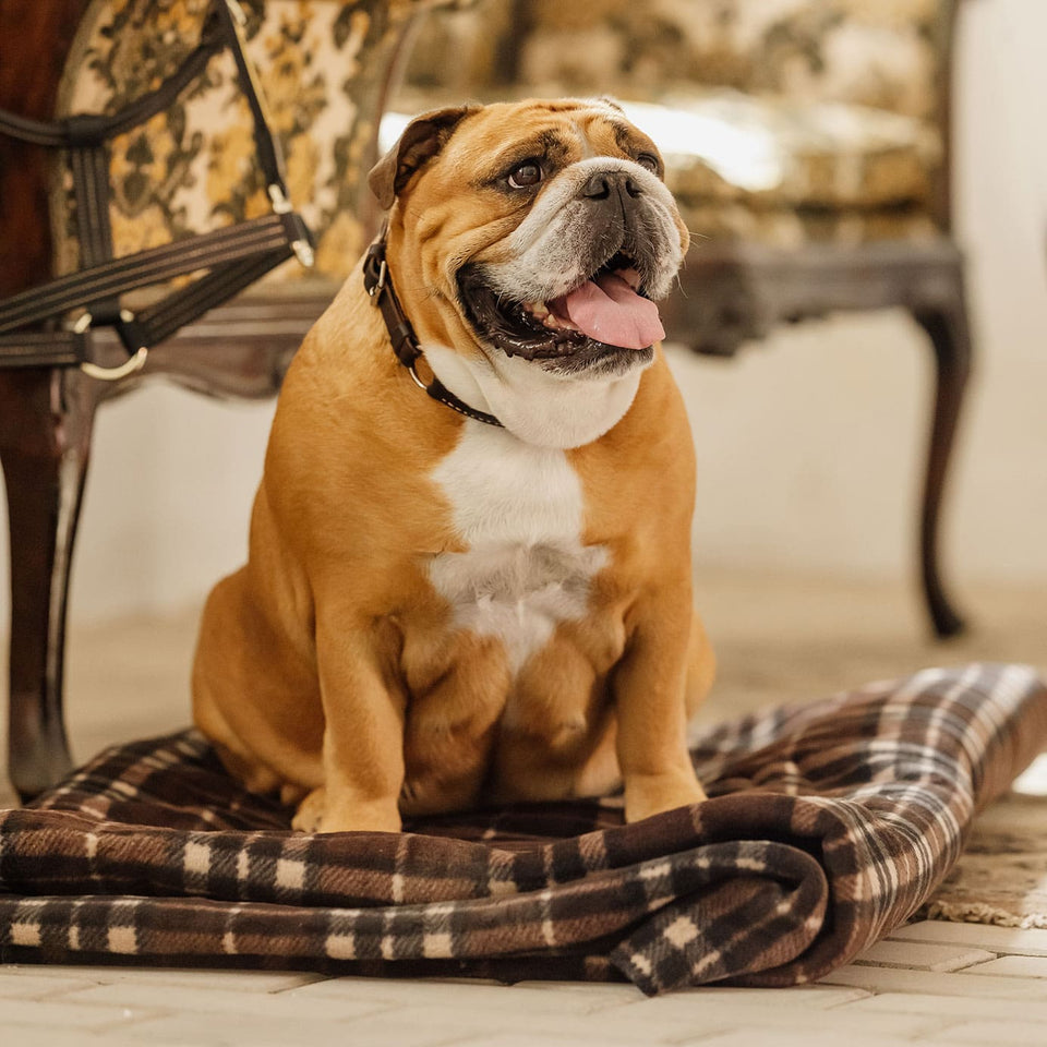 Kentucky Horsewear Heavy Fleece Square Blanket - Brown Check