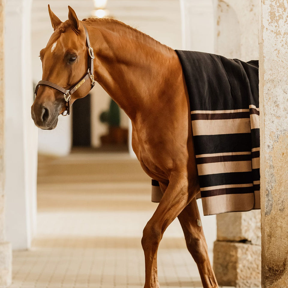 Kentucky Horsewear Heavy Fleece Square Blanket - Brown Stripes