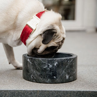 Kentucky Dogwear Large Marble Dog Bowl - Black