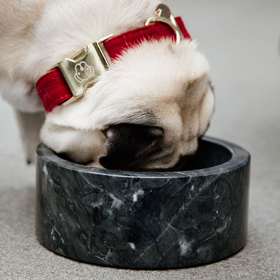 Kentucky Dogwear Large Marble Dog Bowl - Black