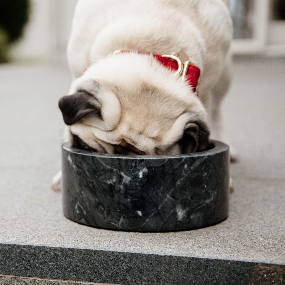 Kentucky Dogwear Large Marble Dog Bowl - Black