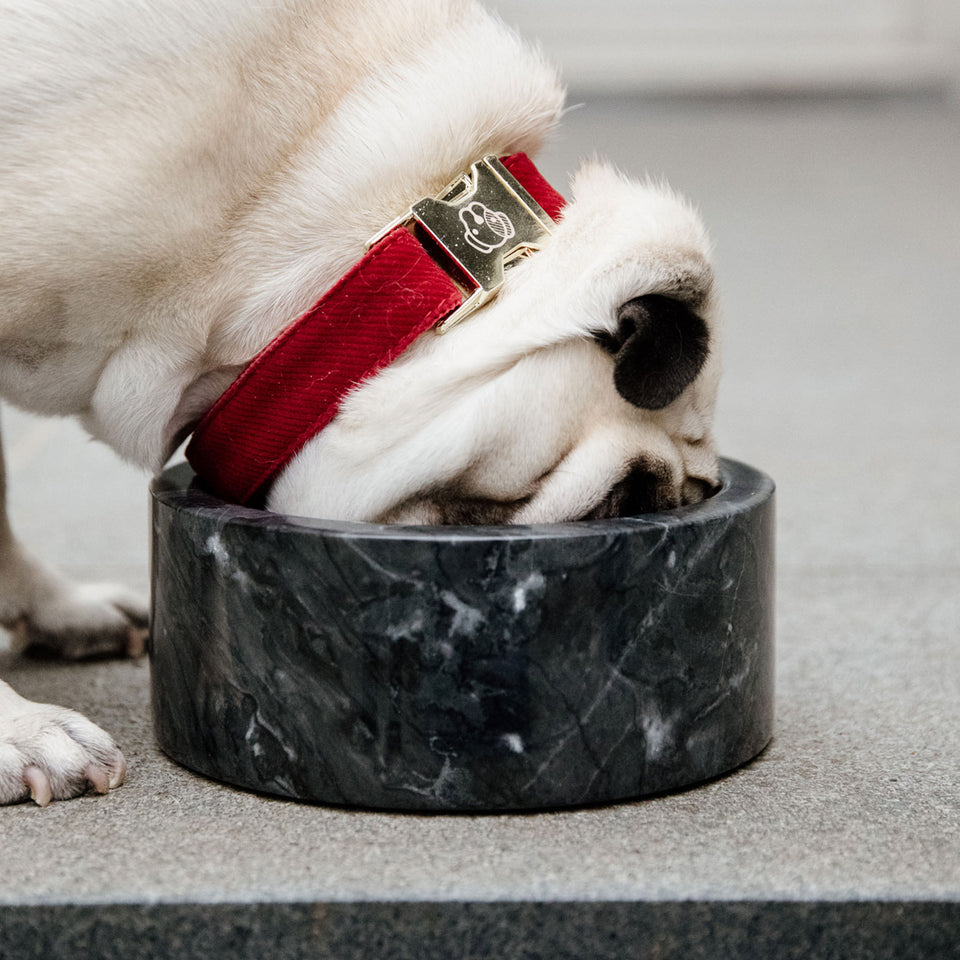 Kentucky Dogwear Large Marble Dog Bowl - Black