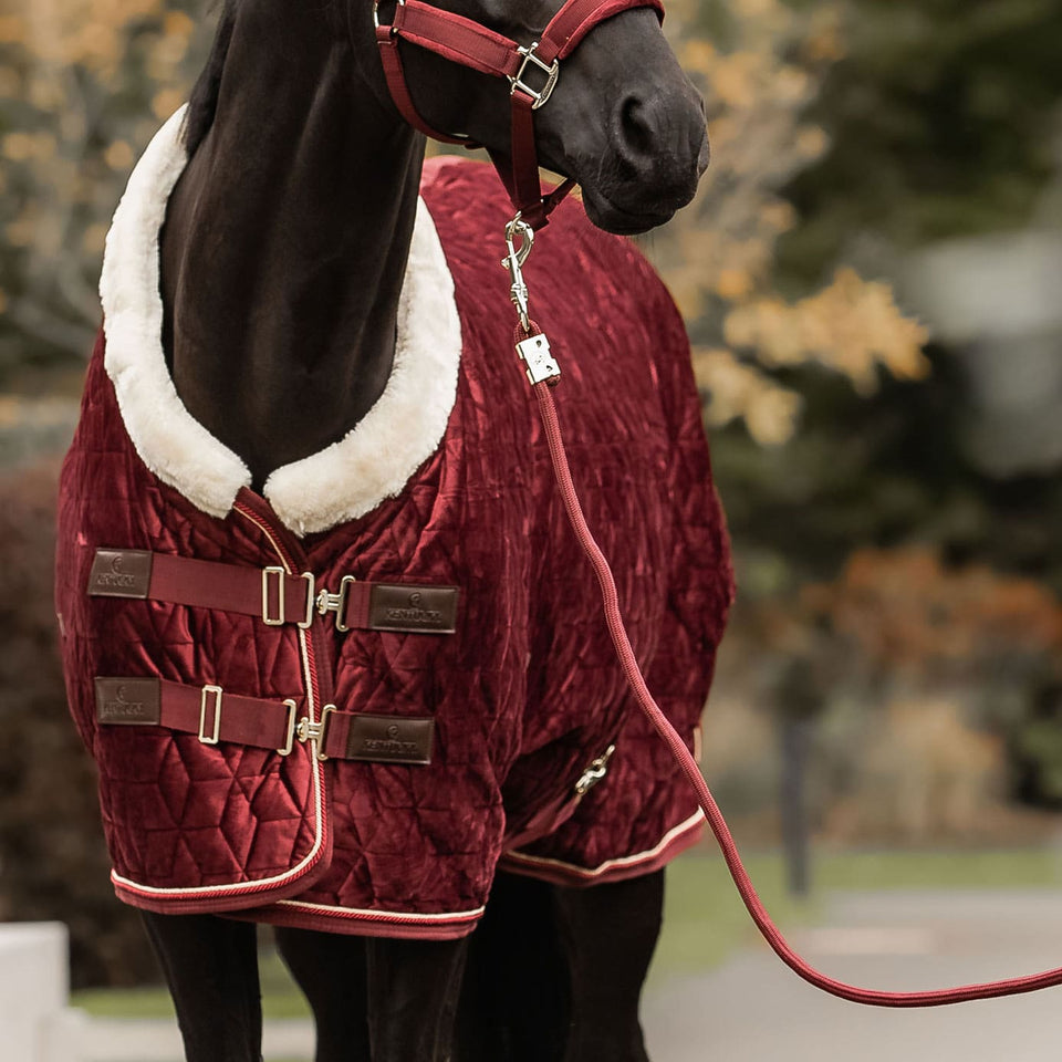 Kentucky Horsewear Lead Rope - Bordeaux
