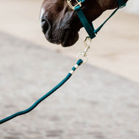 Kentucky Horsewear Lead Rope - Emerald
