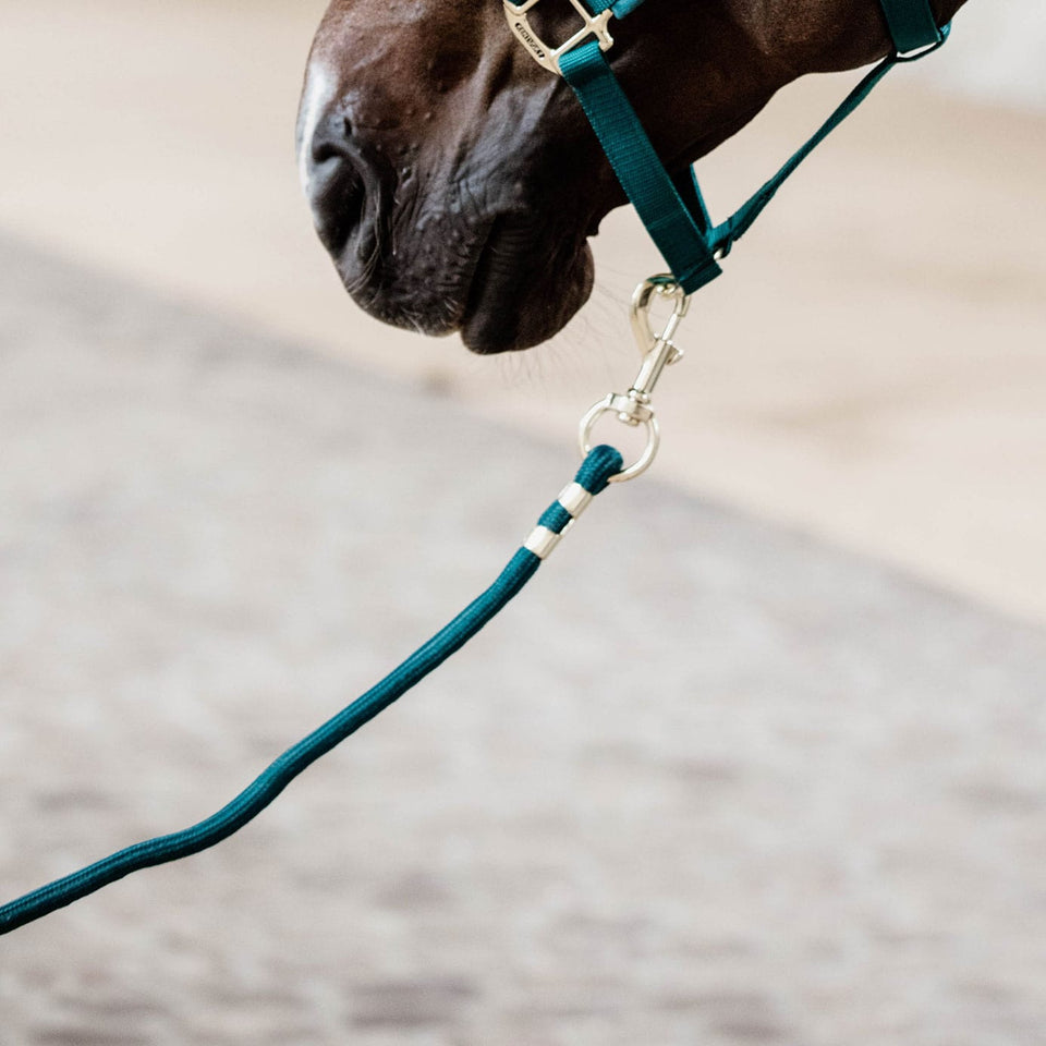 Kentucky Horsewear Lead Rope - Emerald