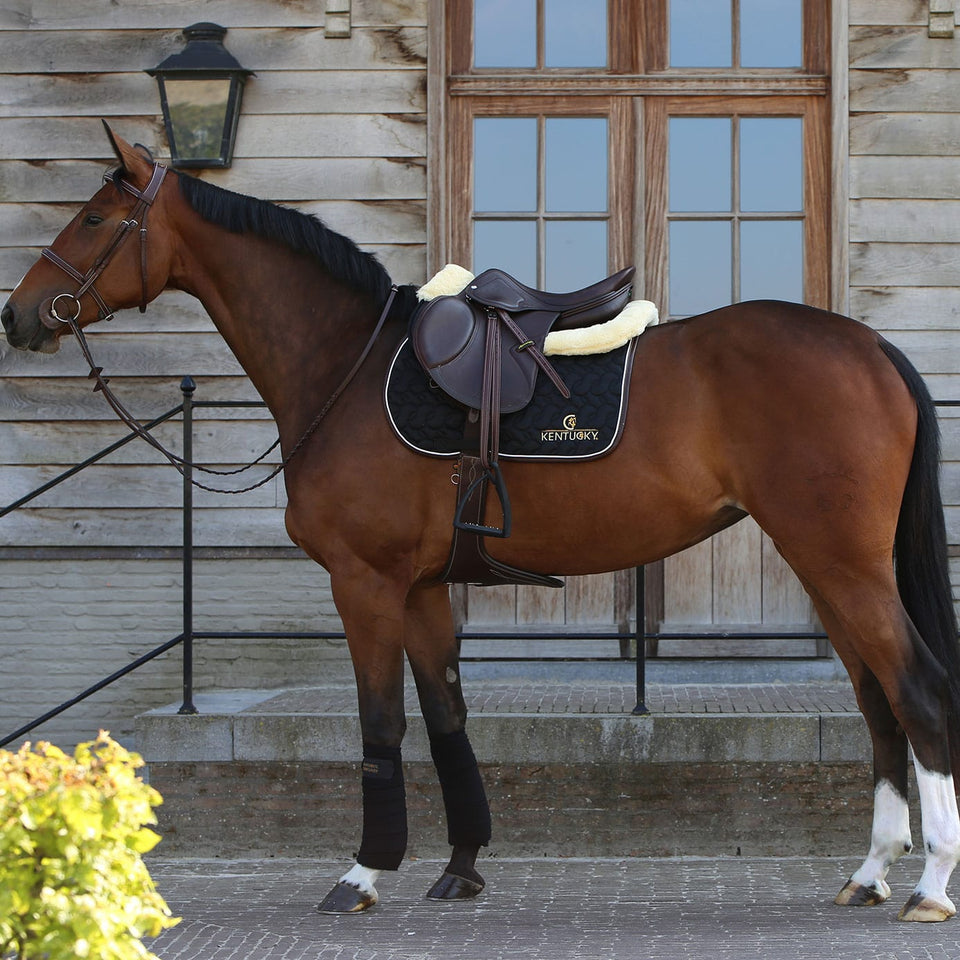 Kentucky Horsewear Logo Jumping Saddle Cloth - Black