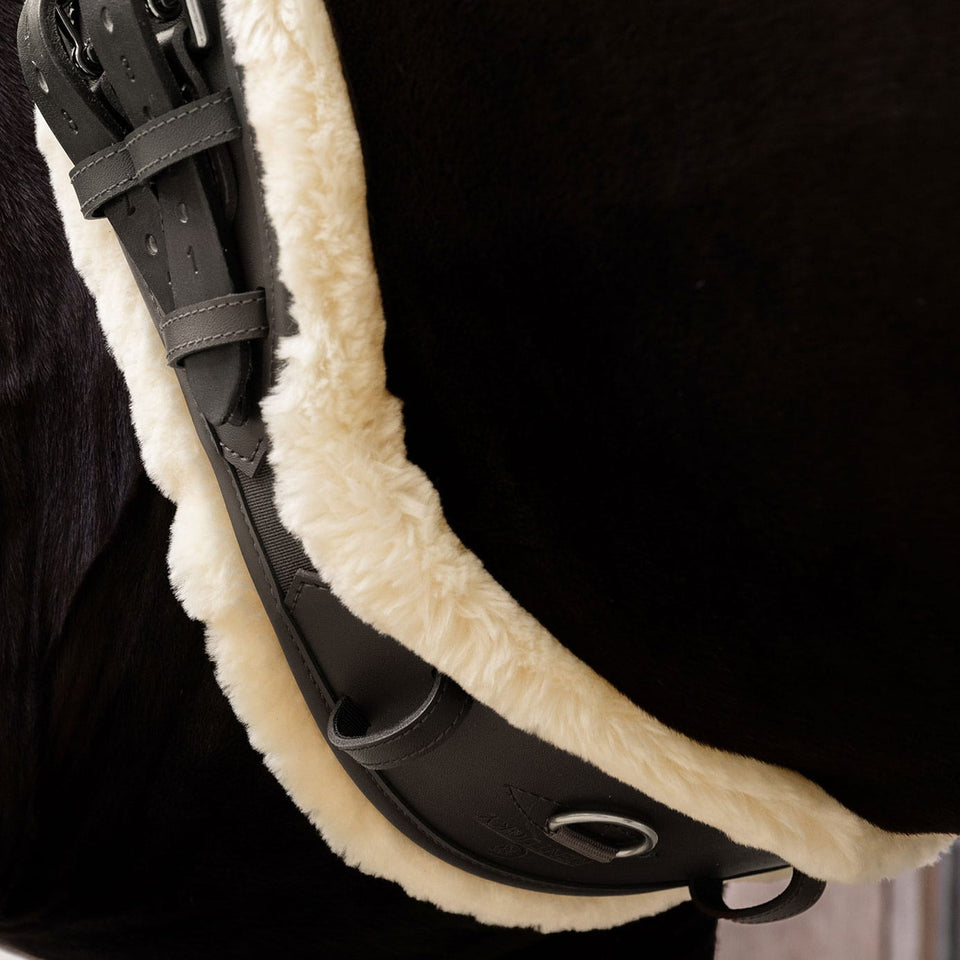 Kentucky Horsewear New Sheepskin Anatomic Short Girth - Black