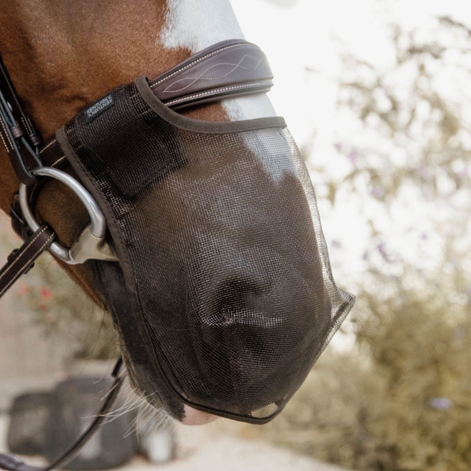 Kentucky Horsewear Anti Fly Nose Net - Brown