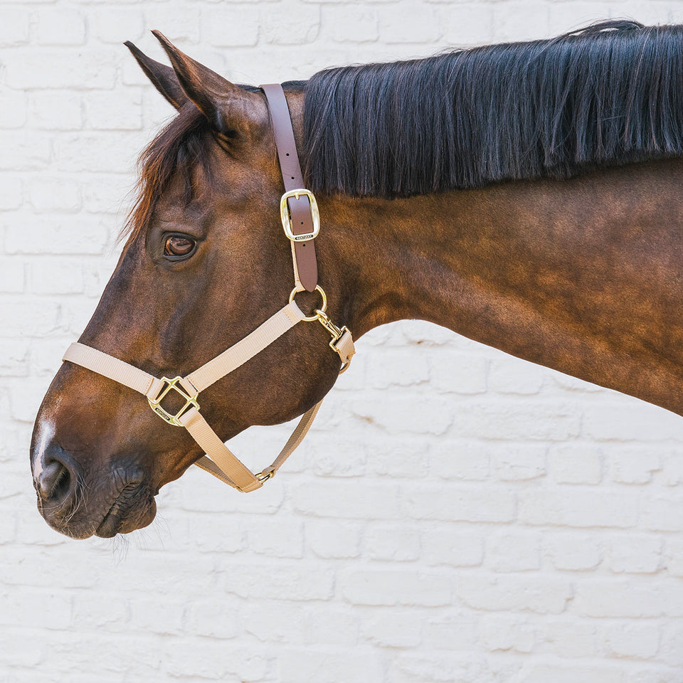 Kentucky Horsewear Nylon Breakaway Headcollar - Beige