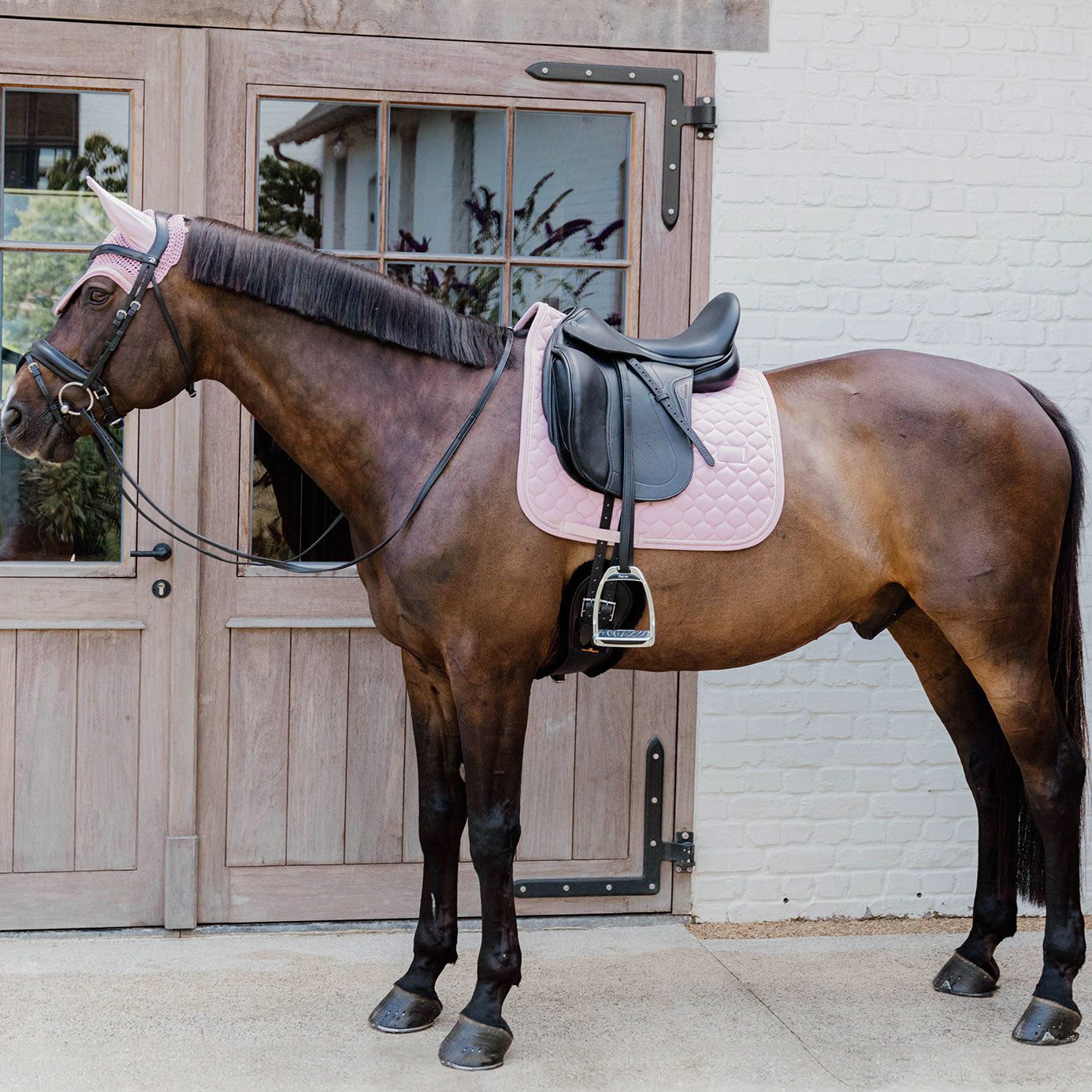Kentucky Horsewear BIB Protection de poitrail imperméable - Noir Kentucky Horsewear BIB Protection de poitrail imperméable - Noir
