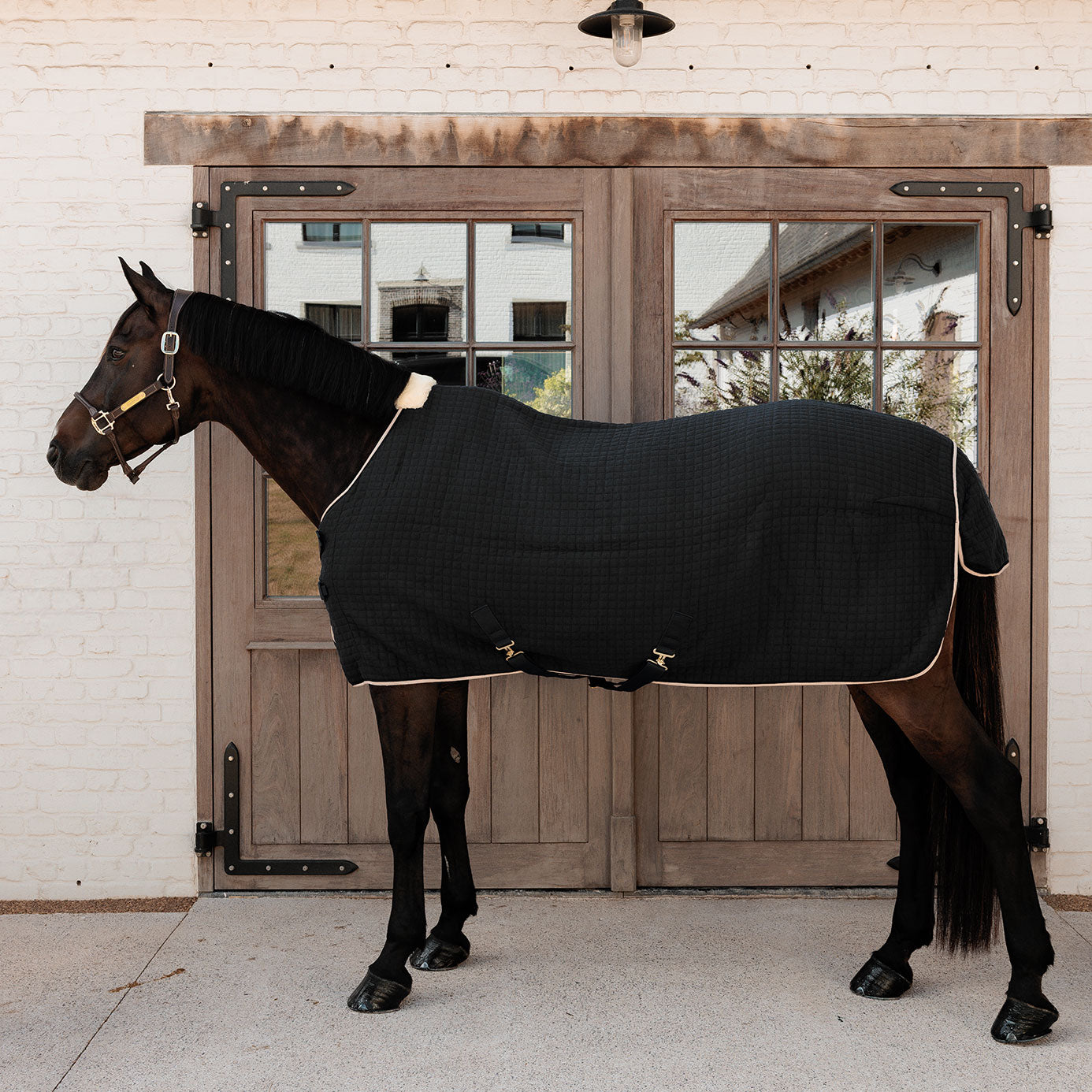 Kentucky Horsewear PROTherm Cooler Rug | Black & Equiport Equestrian