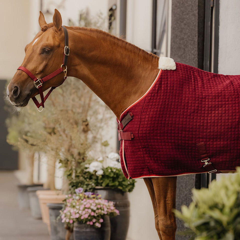 Kentucky Horsewear PROTherm Cooler Rug - Bordeaux
