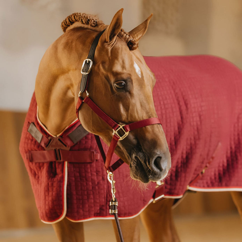 Kentucky Horsewear PROTherm Cooler Rug - Bordeaux