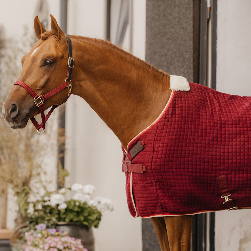 Kentucky Horsewear PROTherm Cooler Rug | Bordeaux & Equiport Equestrian