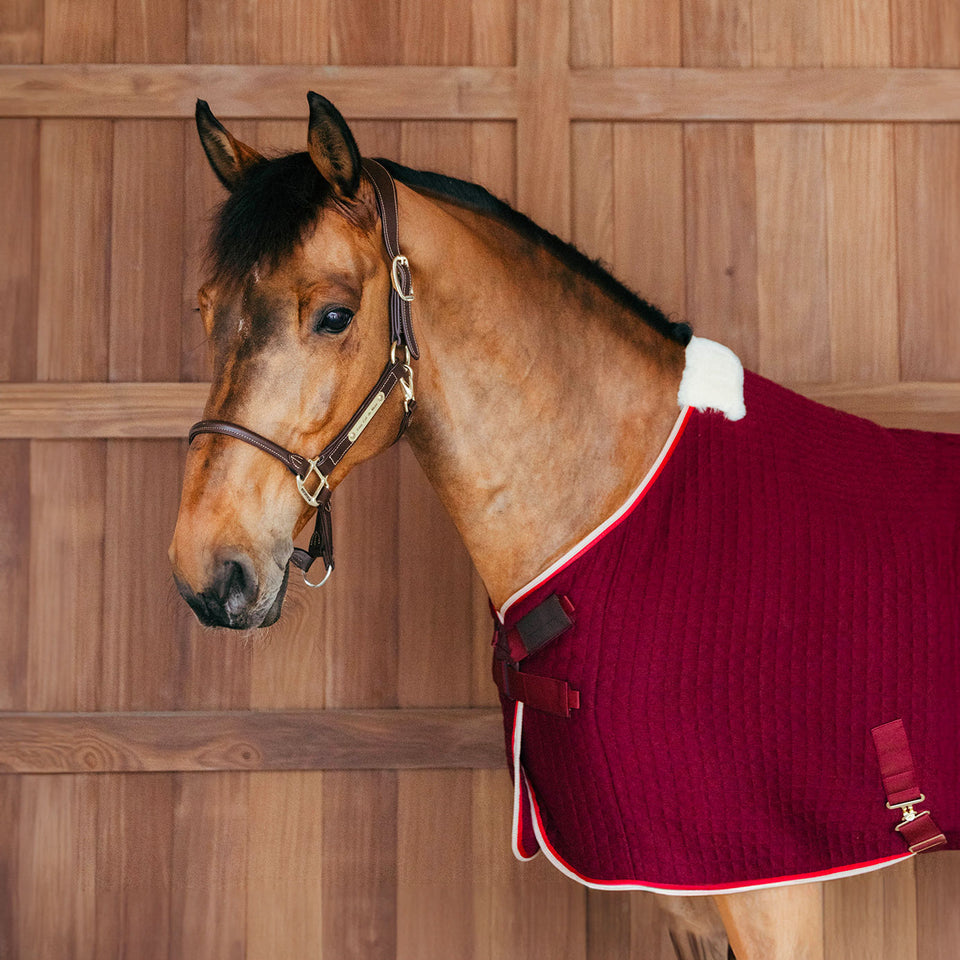 Kentucky Horsewear PROTherm Cooler Rug - Bordeaux