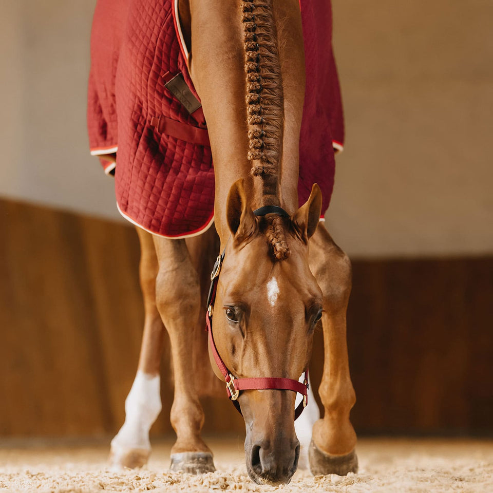 Kentucky Horsewear PROTherm Cooler Rug - Bordeaux
