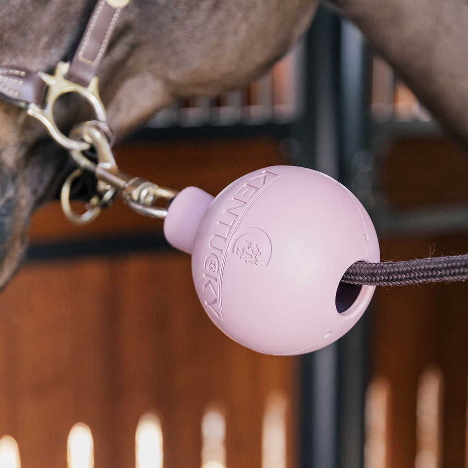 Kentucky Horsewear Rubber Ball Lead and Wall Protector - Old Rose