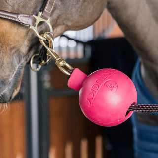 Kentucky Horsewear Rubber Ball Lead and Wall Protector - Pink