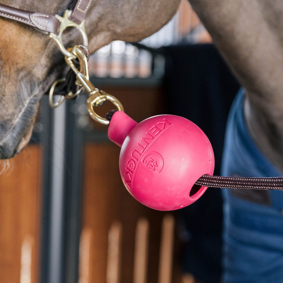 Kentucky Horsewear Rubber Ball Lead and Wall Protector - Pink