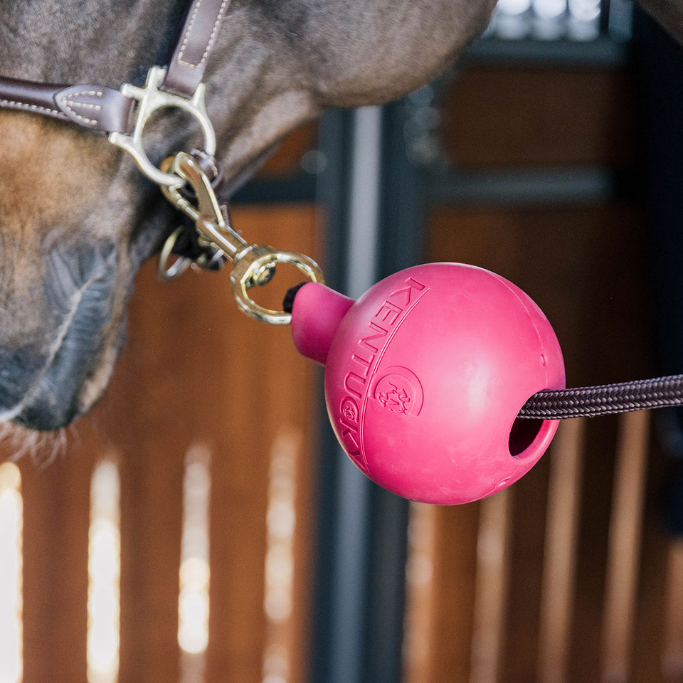 Kentucky Horsewear Rubber Ball Lead and Wall Protector - Pink