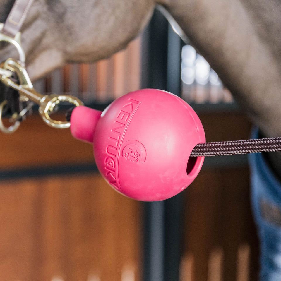Kentucky Horsewear Rubber Ball Lead and Wall Protector - Pink