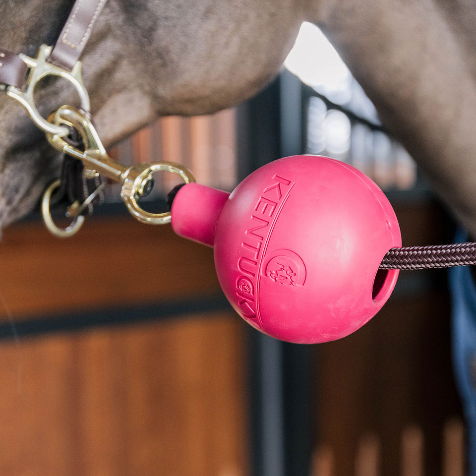 Kentucky Horsewear Rubber Ball Lead and Wall Protector - Pink