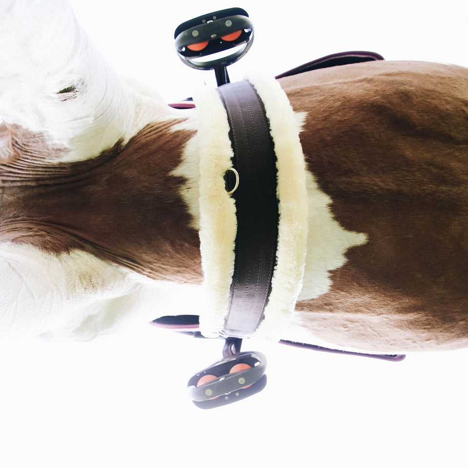 Kentucky Horsewear Sheepskin Girth - Brown/Natural