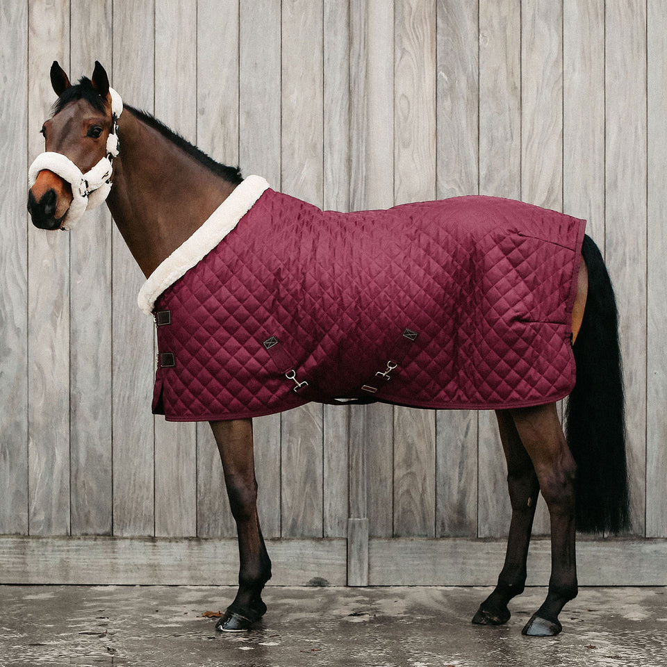 Kentucky Horsewear Show Rug - Bordeaux