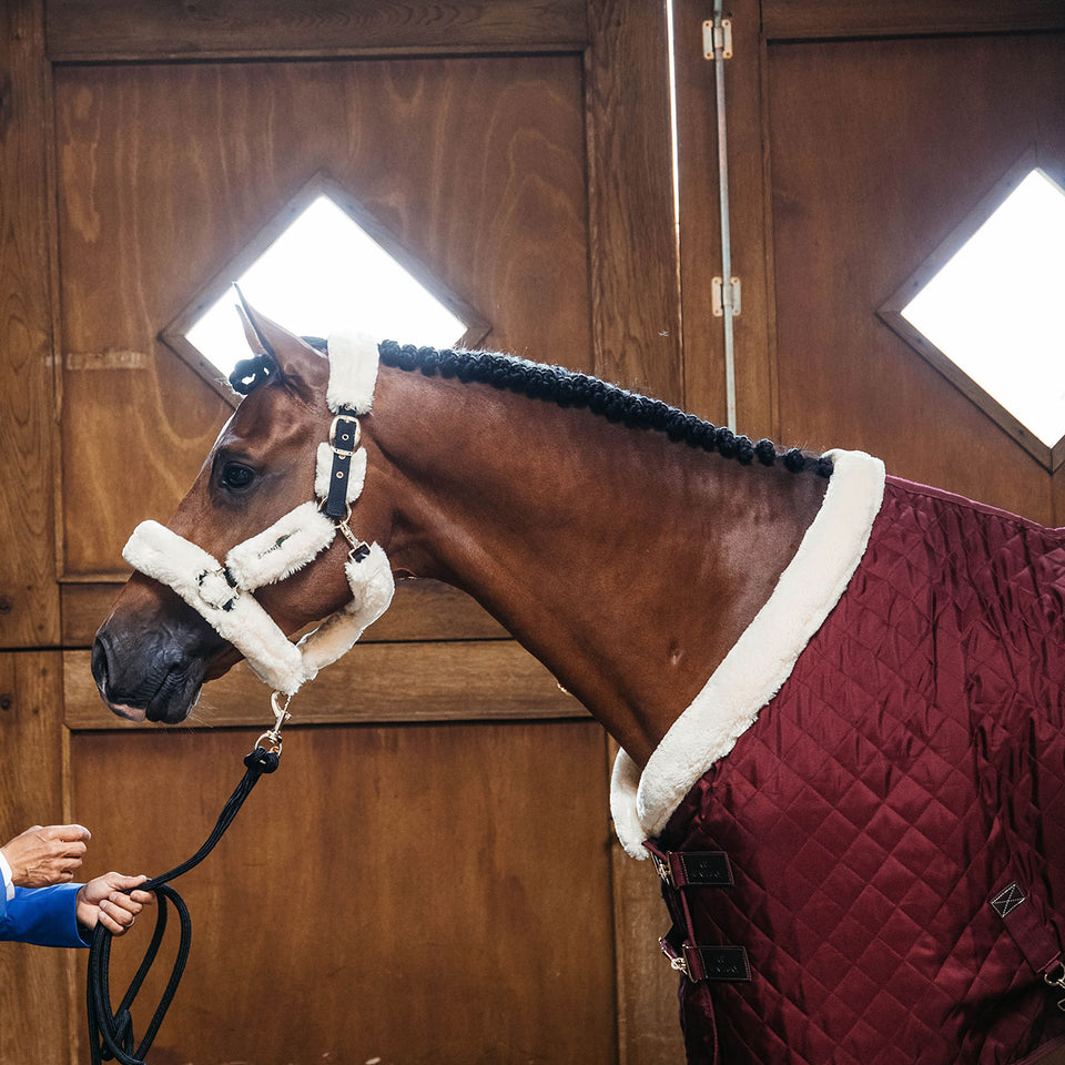 Kentucky Horsewear Show Rug - Bordeaux