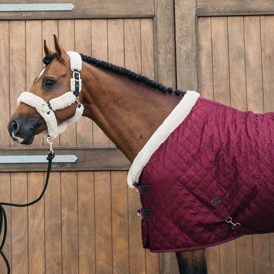 Kentucky Horsewear Show Rug - Bordeaux