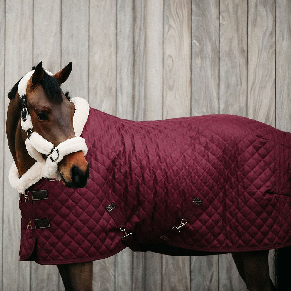 Kentucky Horsewear Show Rug - Bordeaux