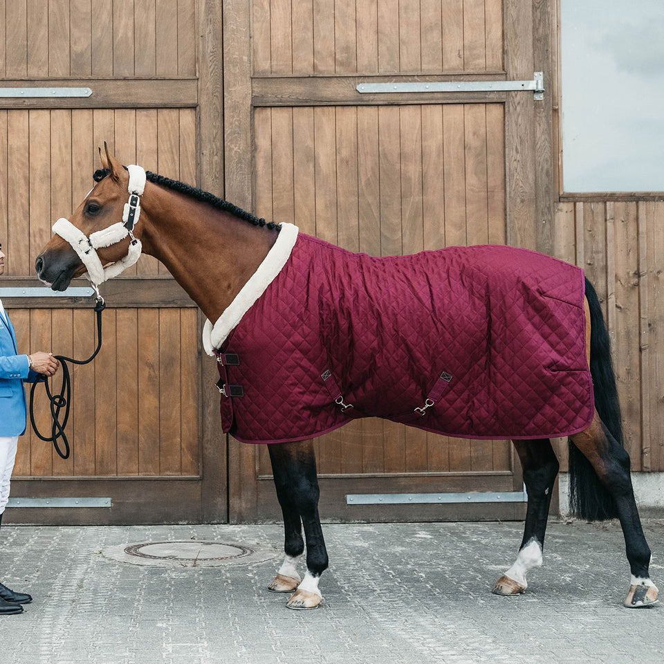 Kentucky Horsewear Show Rug - Bordeaux