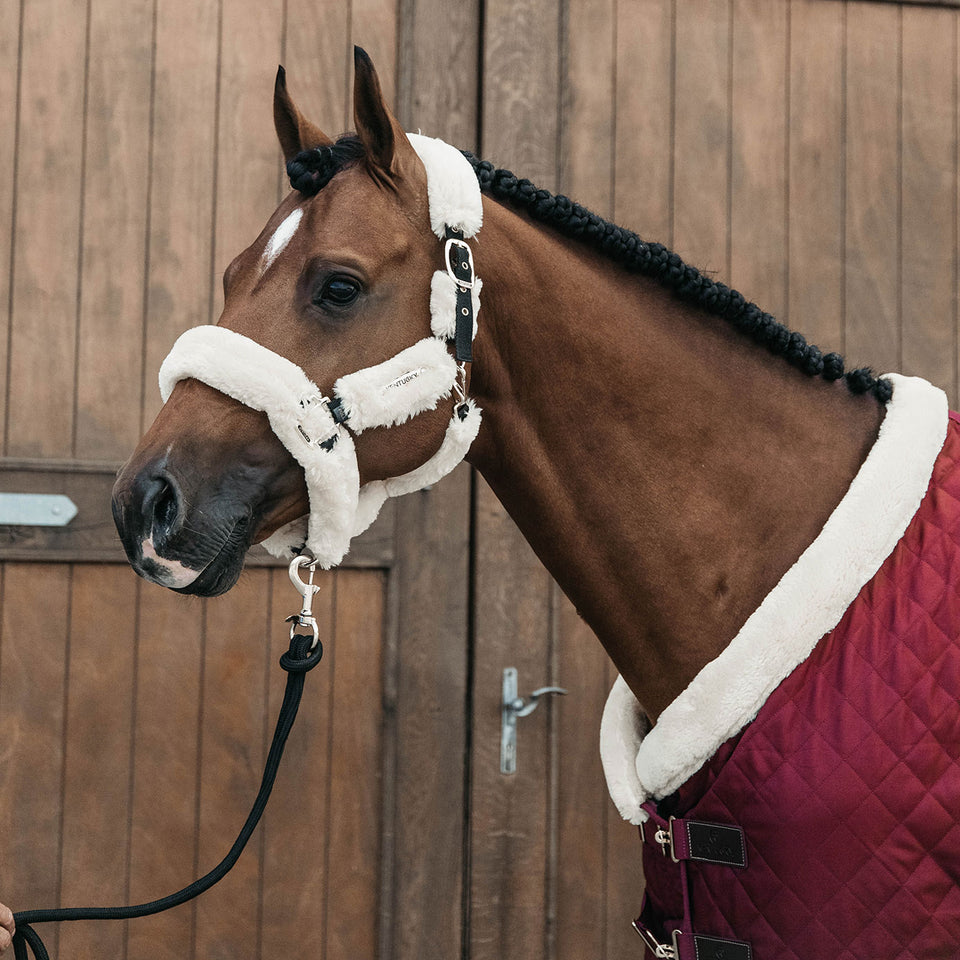 Kentucky Horsewear Show Rug - Bordeaux
