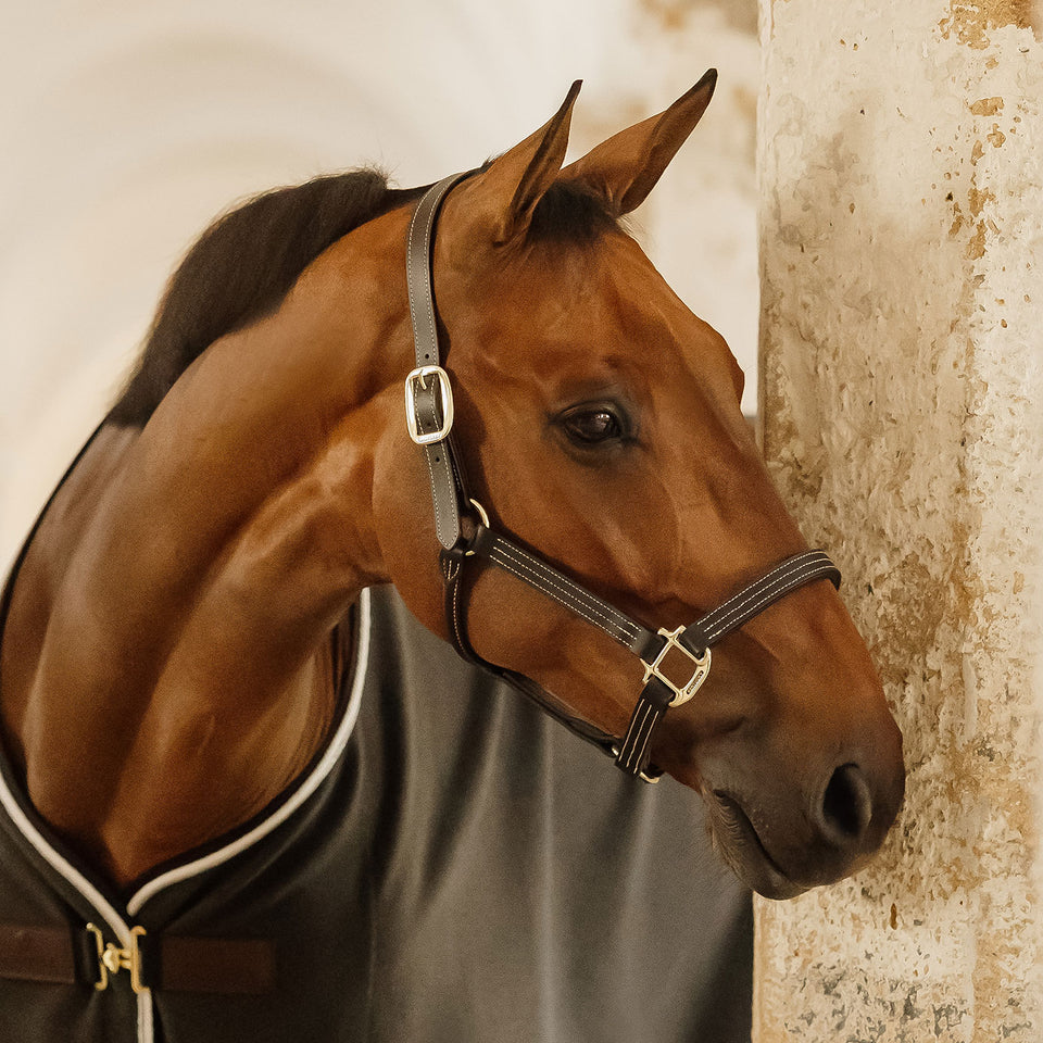 Kentucky Horsewear Wellington Leather Headcollar - Black