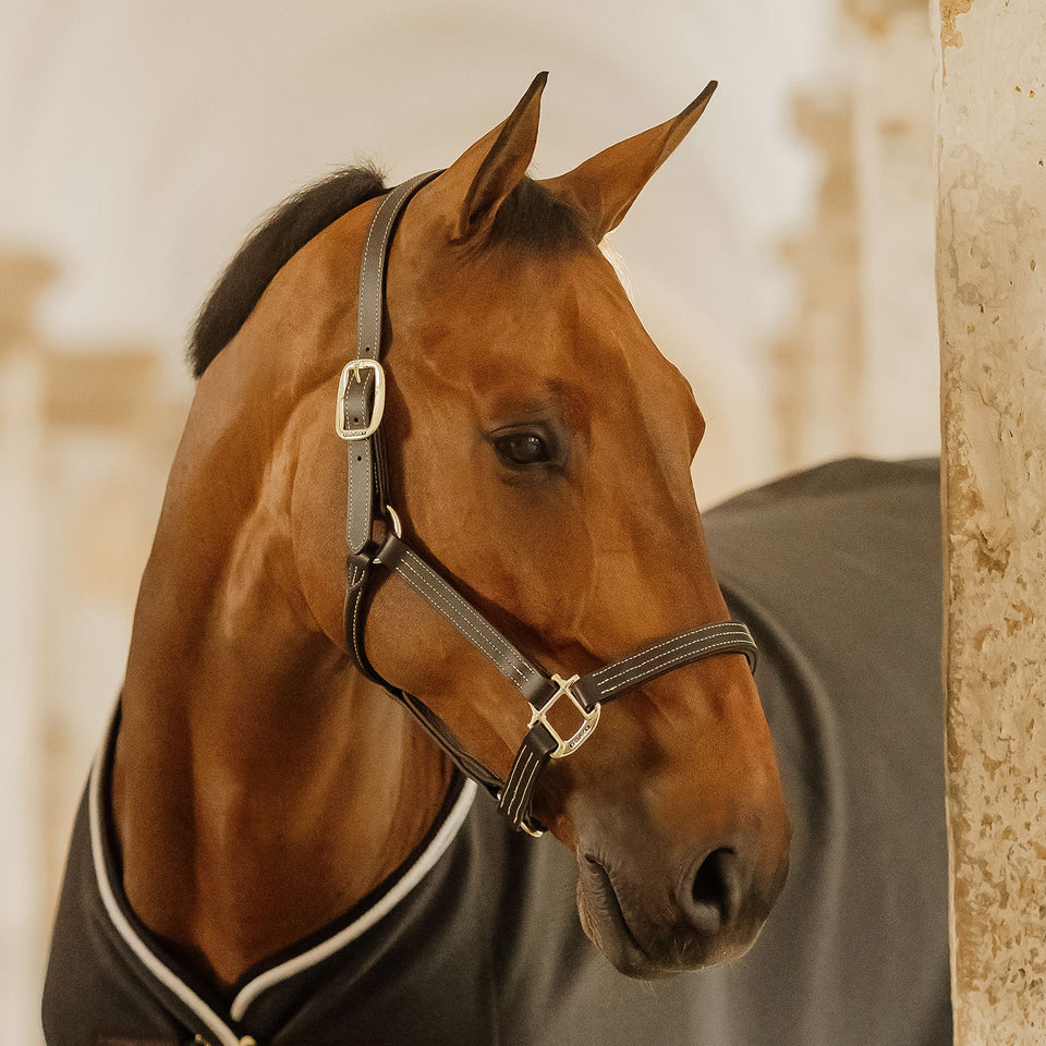 Kentucky Horsewear Wellington Leather Headcollar - Black