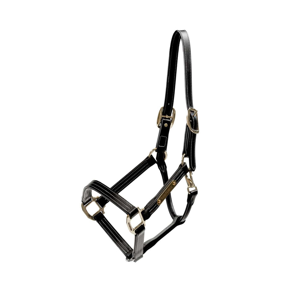 Kentucky Horsewear Wellington Leather Headcollar - Black