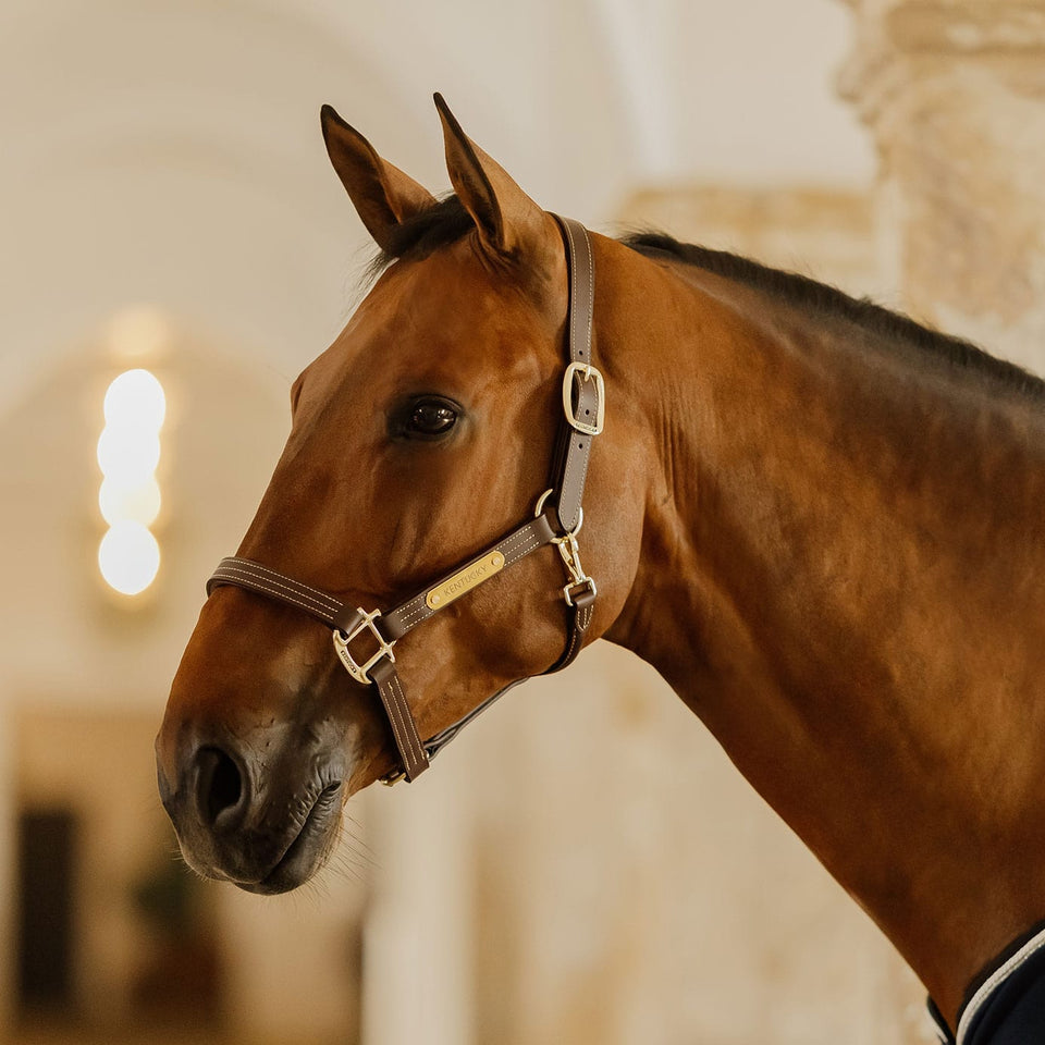 Kentucky Horsewear Wellington Leather Headcollar - Brown