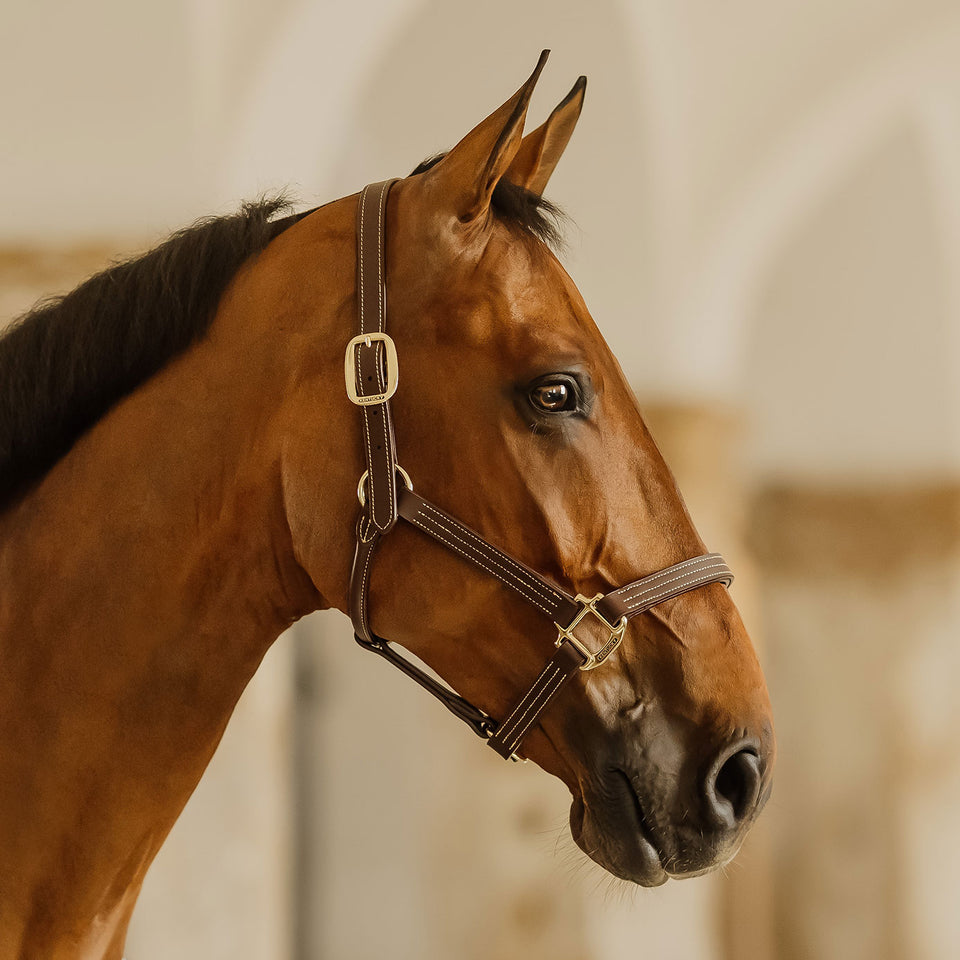Kentucky Horsewear Wellington Leather Headcollar - Brown