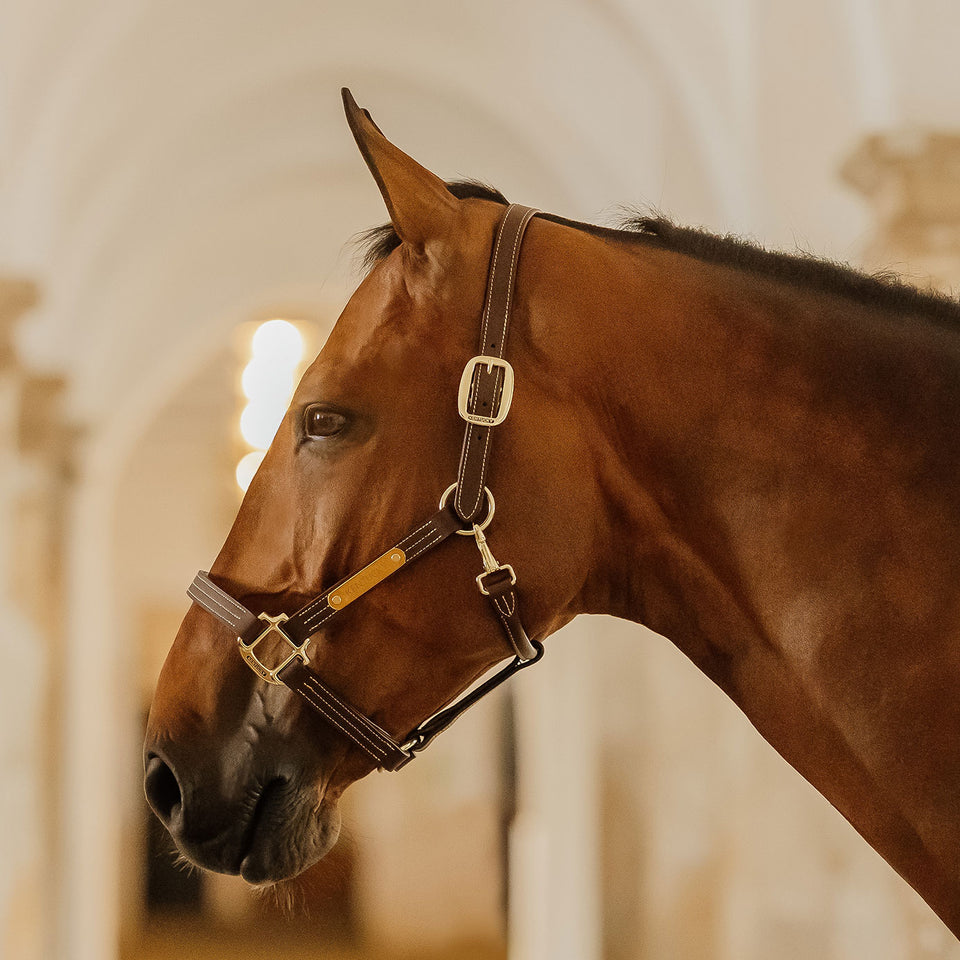 Kentucky Horsewear Wellington Leather Headcollar - Brown
