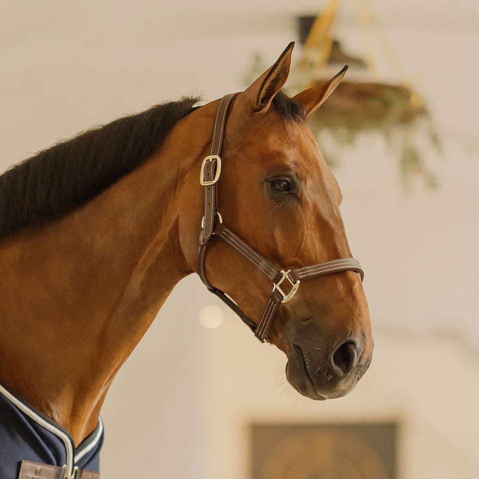 Kentucky Horsewear Wellington Leather Headcollar - Brown