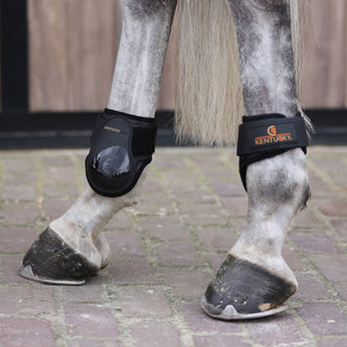 Kentucky Horsewear Young Horse Fetlock Boots - Black
