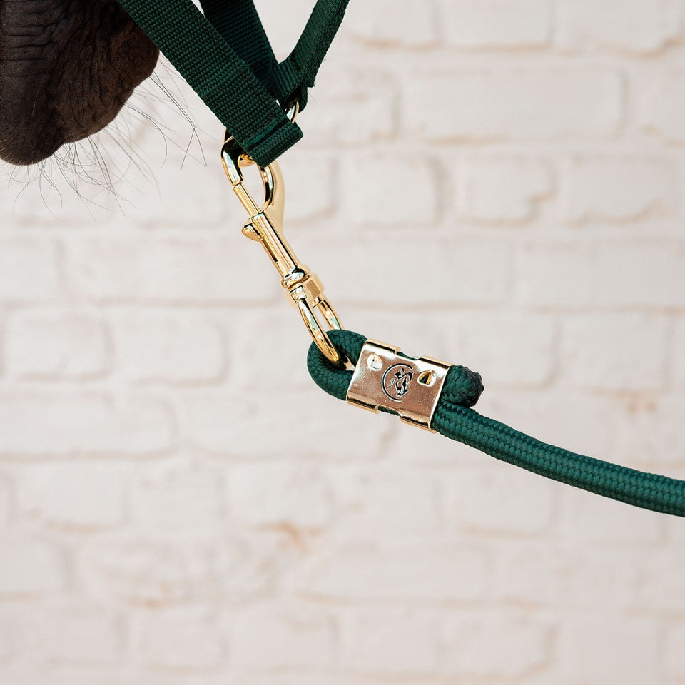 Kentucky Horsewear Lead Rope - Pine Green