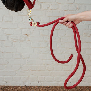 Kentucky Horsewear Lead Rope Basic - Red