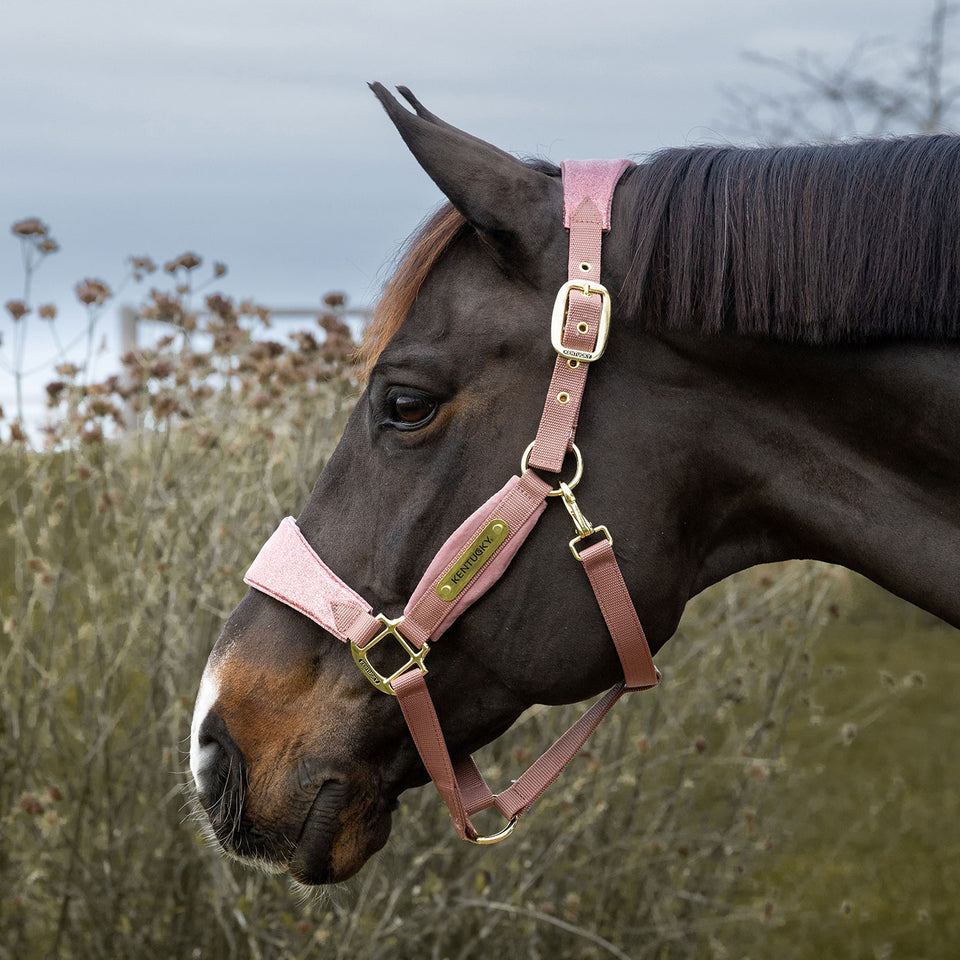 Kentucky Horsewear Velvet Headcollar Unicorn Glitter - Old Rose