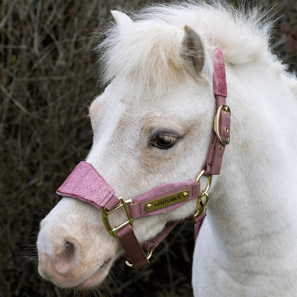 Kentucky Horsewear Velvet Headcollar Unicorn Glitter - Old Rose