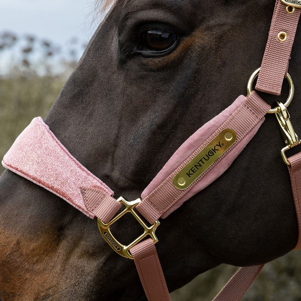 Kentucky Horsewear Velvet Headcollar Unicorn Glitter - Old Rose