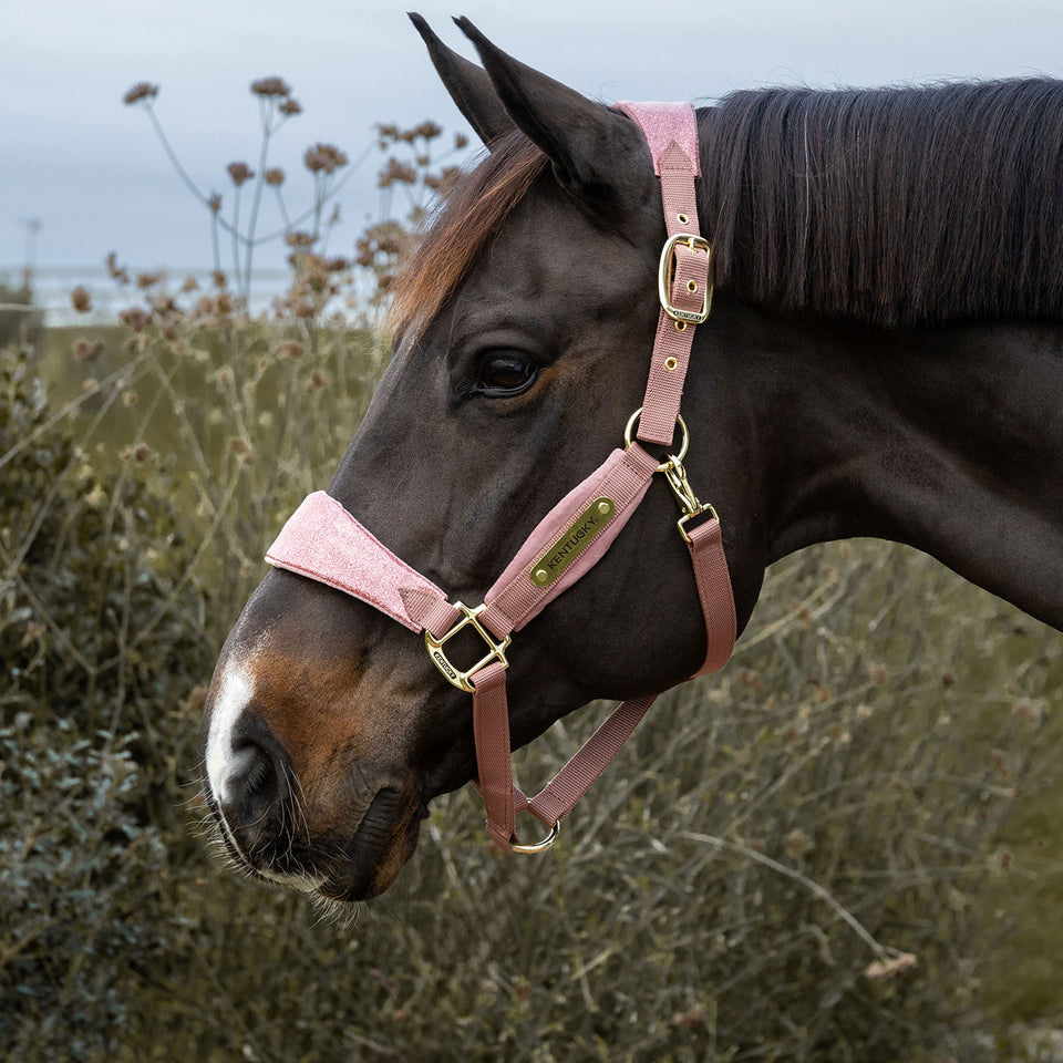 Kentucky Horsewear Velvet Headcollar Unicorn Glitter - Old Rose