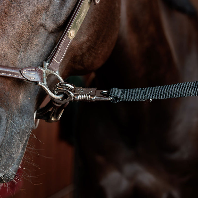 Kentucky Horsewear Horsebox Lead and Cross Tie Safety - Black