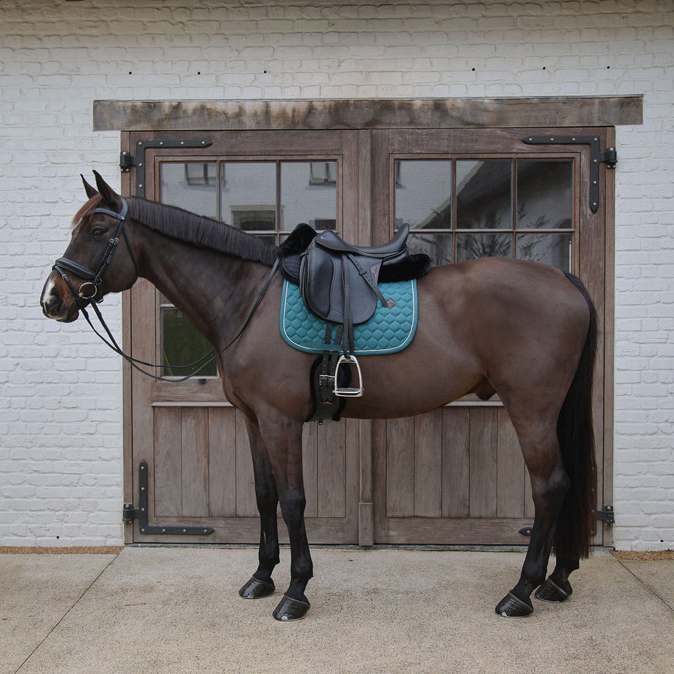 Kentucky Horsewear Sheepskin Half Pad Absorb - Black