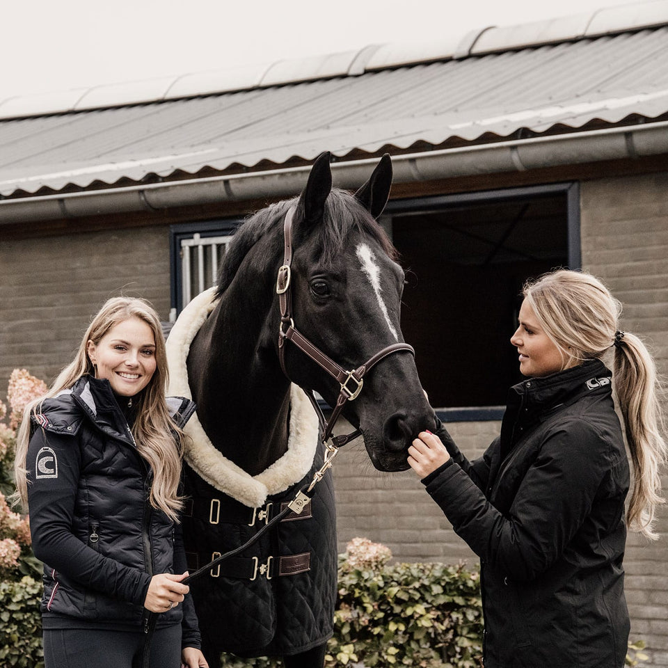 Kentucky Horsewear Show Rug - Black